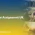 Write My Law Assignment UK: Expert Help